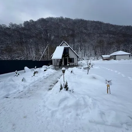 вича Sasivka