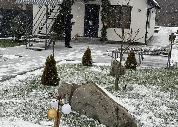 вича Дом отдыха Sasivka